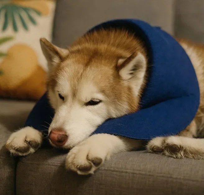 Intimate style portrait