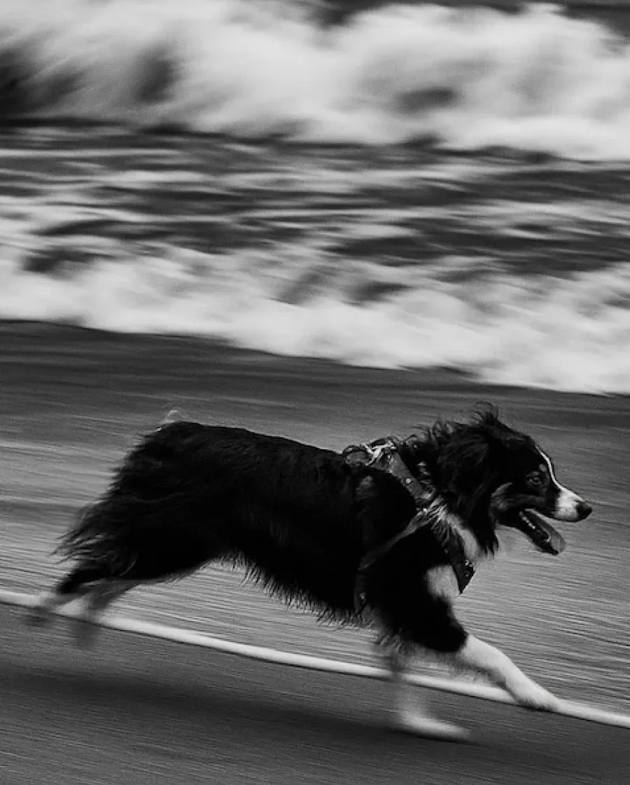 Enhanced photo with clarity and detail