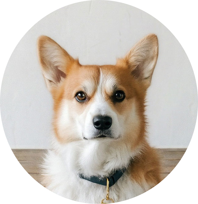 Dog likeness input