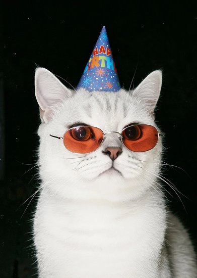A cat remixed into a birthday-party portrait
