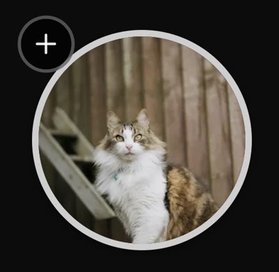 Profile to add